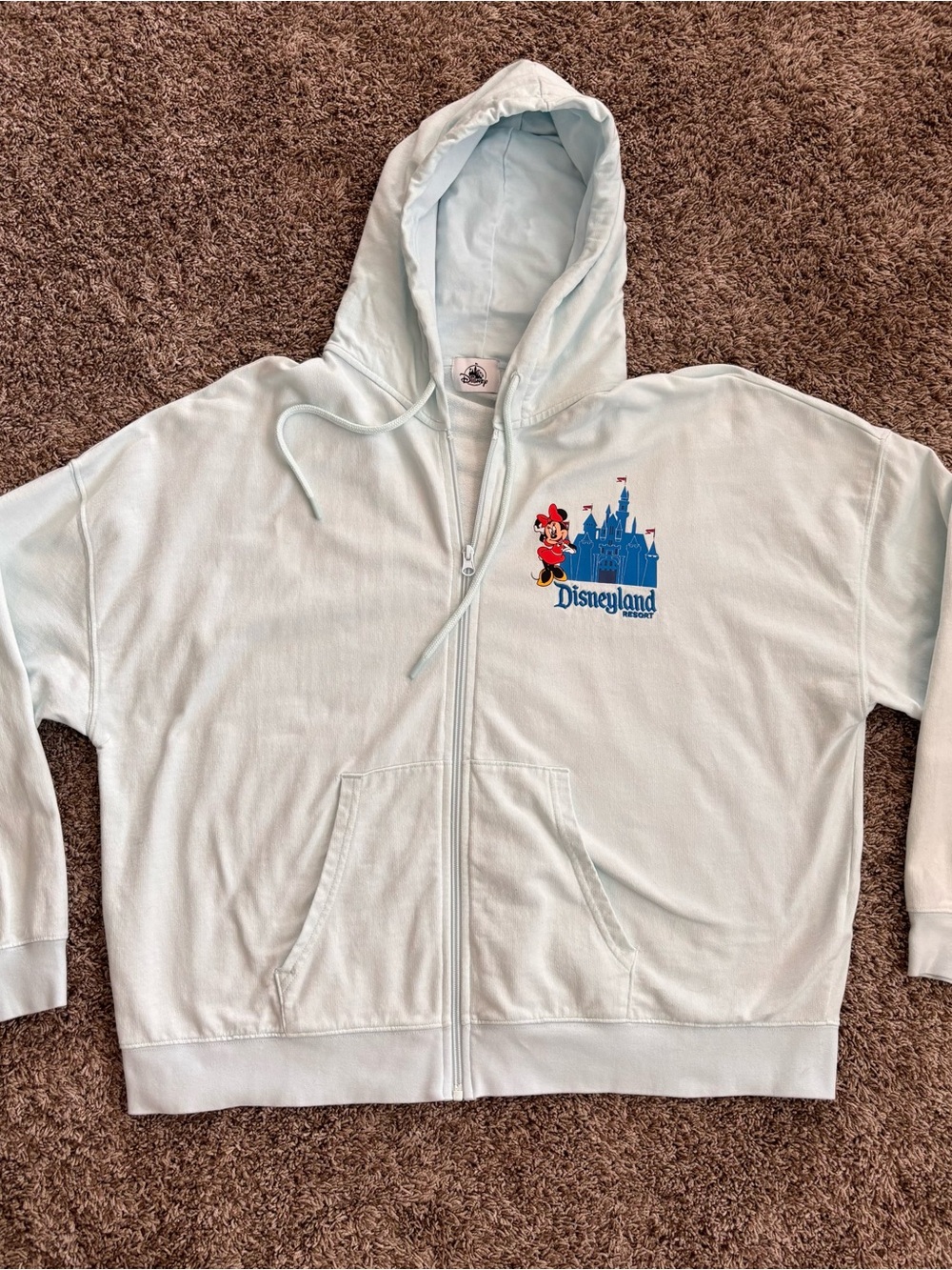 Disneyland Resort Character Zip-Up Hoodie ✨🏰 Size L